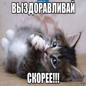 Маша не болей. Выздоравливайккотенок. Выздоравливай картинки. Выздоравливай котенок. Выздоравливай поскорее котенок.