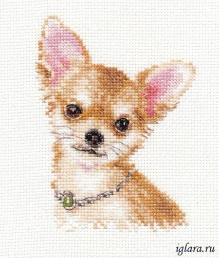 Diagramma di stitch Pekinese (Riolis) 3 Da 4 | Вышивка, Пекинес, Картинки