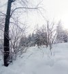 @снова Рената