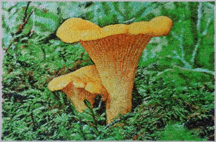 Фото. Как в лесу, в лесочке выросли грибочки!!! Автор работы - Skarapey