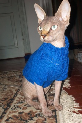 Фото. Джина. Новый свитер реглан крючком.  Автор работы - mikka