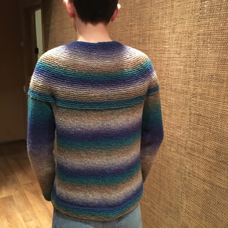 Стильный мужской пуловер от  Бруклина Твида