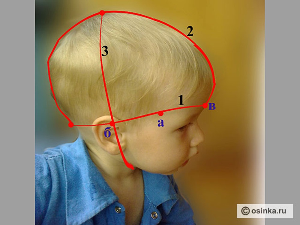 Правильный затылок. Мерки головы ребенка. Окружность лица у детей.