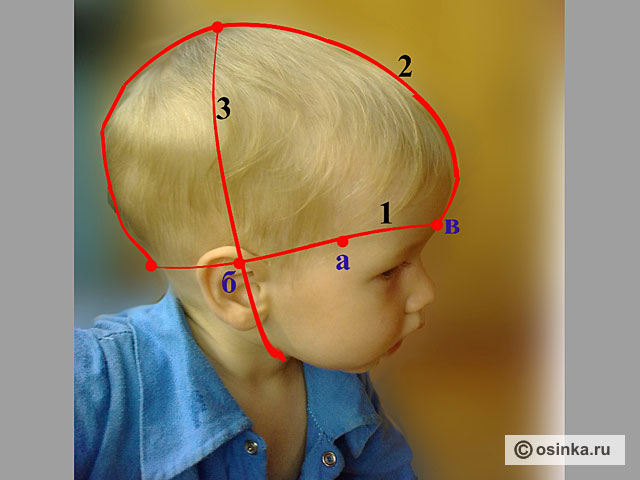 Голова ребенка 3 лет. Мерки головы ребенка. Затылок у мальчика форма головы. Выпуклый затылок у ребенка. Мерки головы для шапки детей.