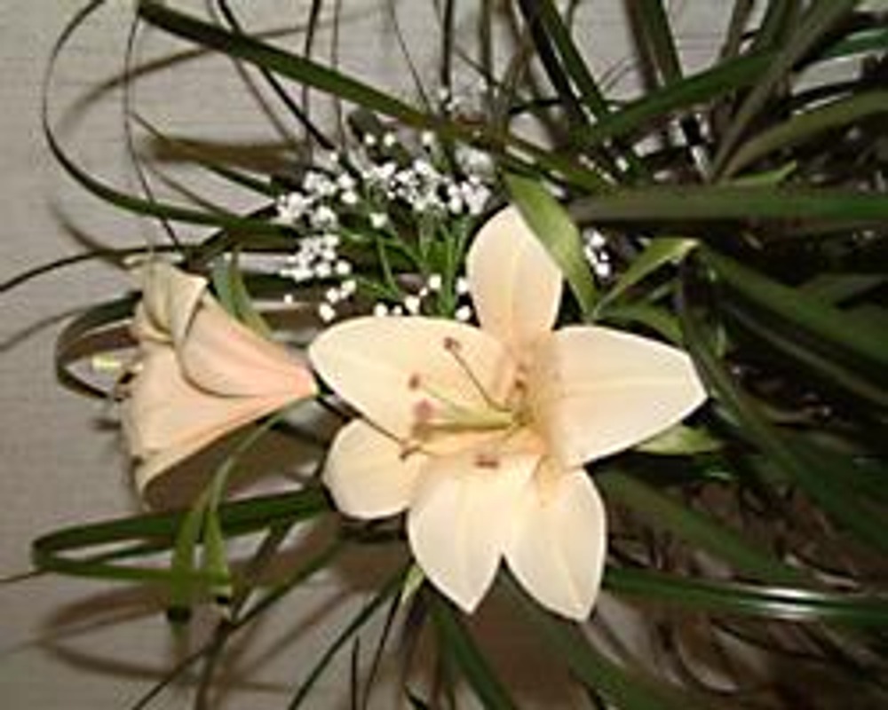 Красивый ободок канзаши и резиночки с цветами лилии – пошаговый мастер-класс