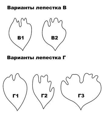 Шаблоны лепестков цветов. Выкройка лепестков пиона. Макет лепестков пиона. Лекало лепестка пиона. Трафарет пиона из фоамирана.