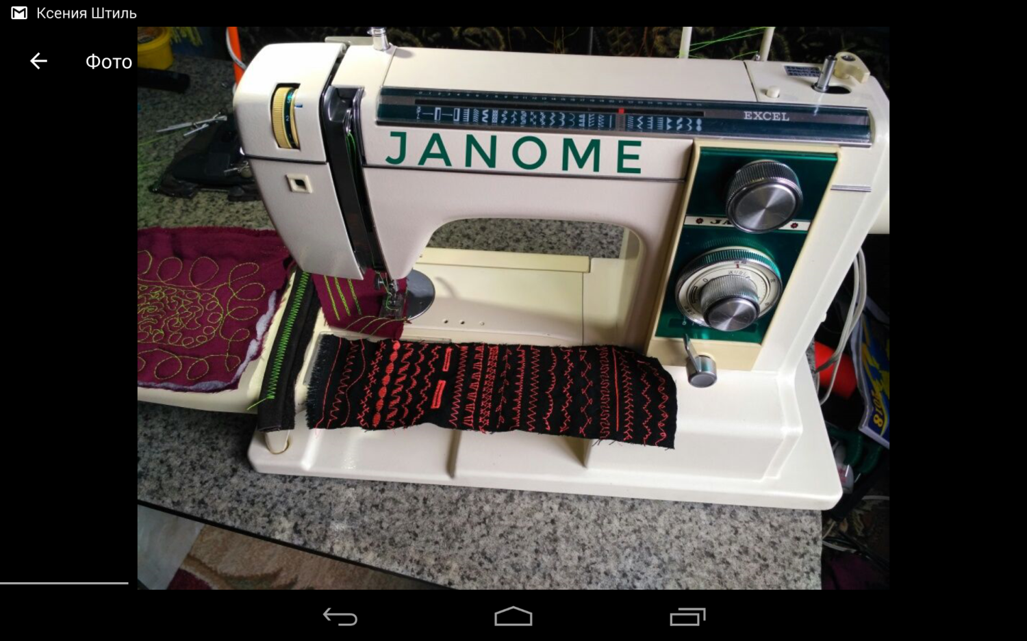 JANOME 813 (815)