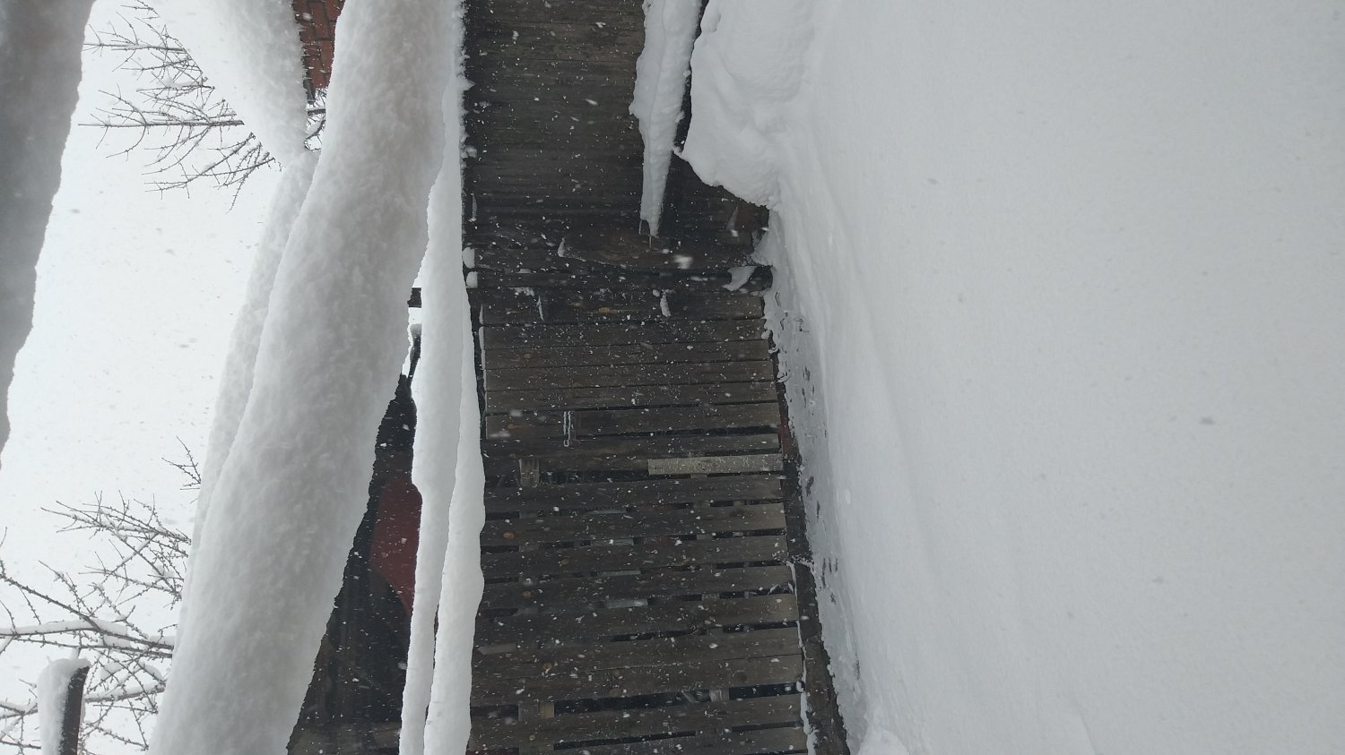 Tapтaлeтки & Ко